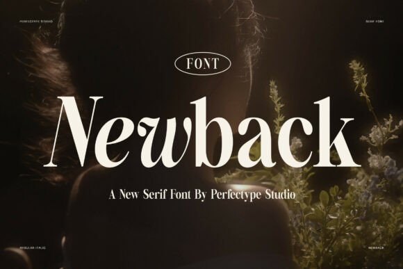 Newback: The Serif Font That Elevates Your Brand Visuals