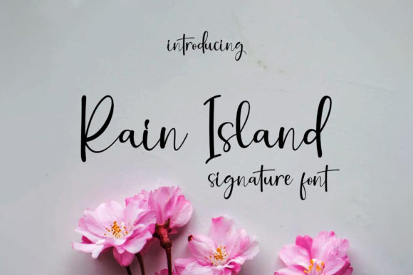 Rain Island: A Timeless Script Font for Distinctive Brand Identity