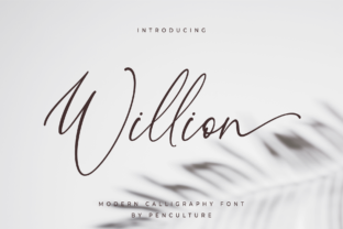 Willion Typeface: The Font That Transformed My Brand Identity
